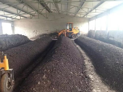 三農日報 新型農業經營者追逐規模效益，糞污變“綠肥”獲政策加持